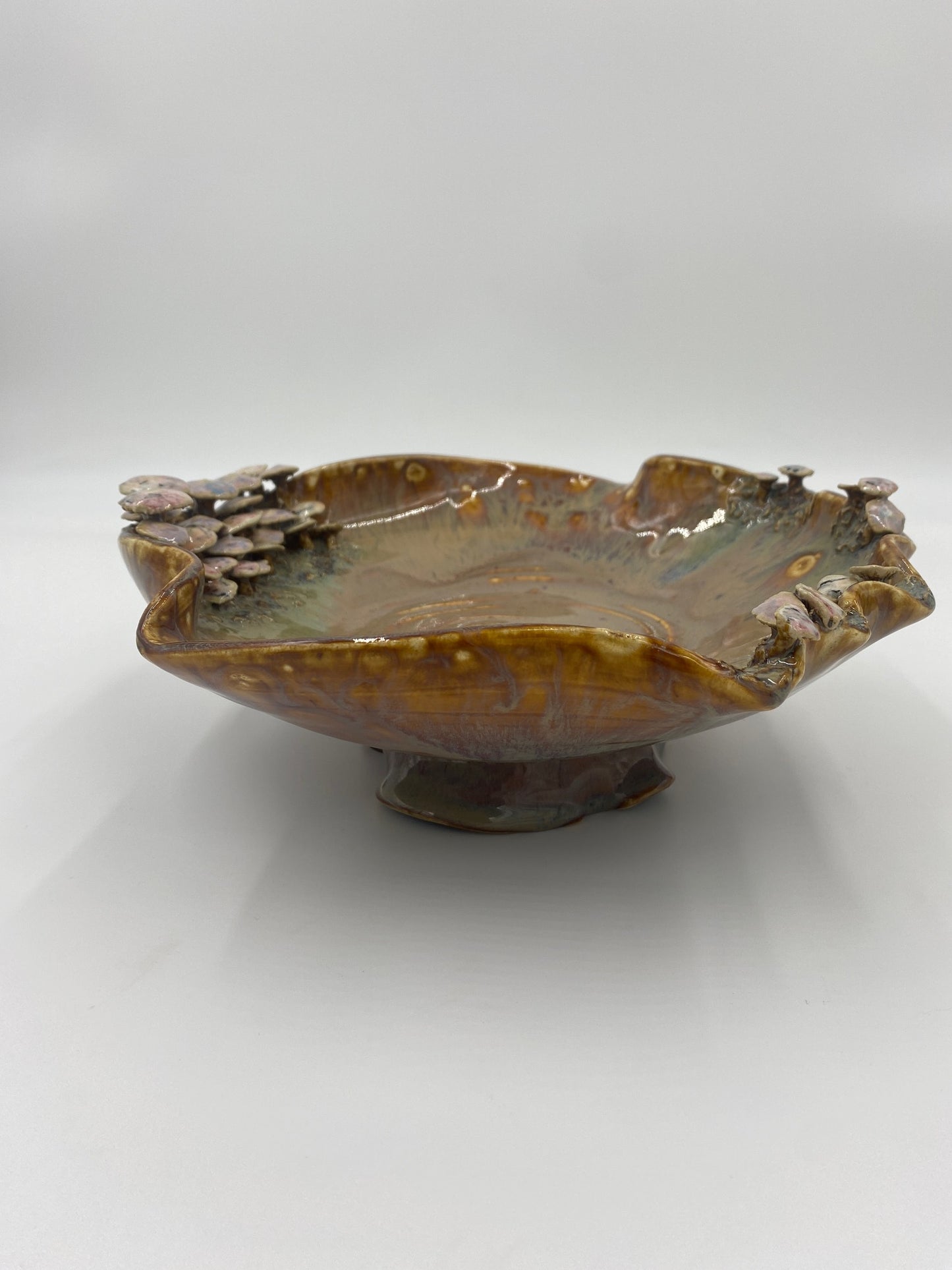 Wavy Mushroom Dream Bowl