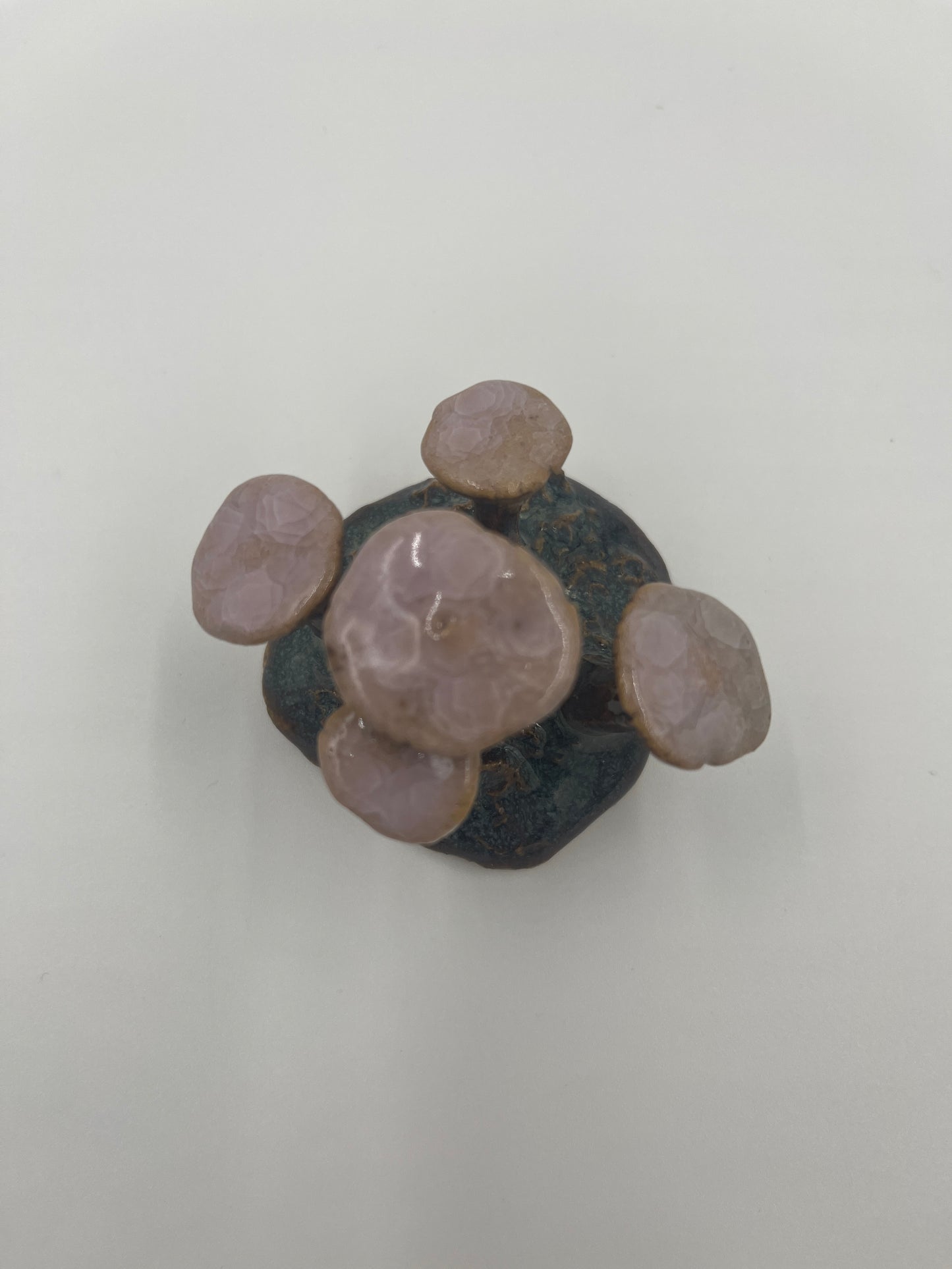 Mushroom Cluster - Pink Crackle